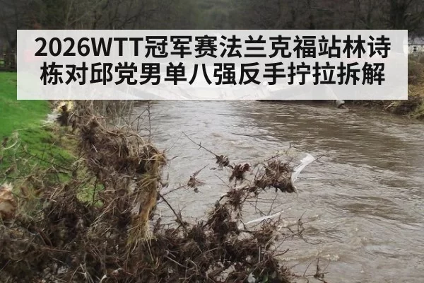 2026WTT冠军赛法兰克福站林诗栋对邱党男单八强反手拧拉拆解